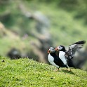 Shetland 359 come oggetto avanzato-1 copia